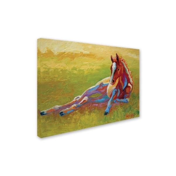 Marion Rose 'Foal Lying' Canvas Art,35x47